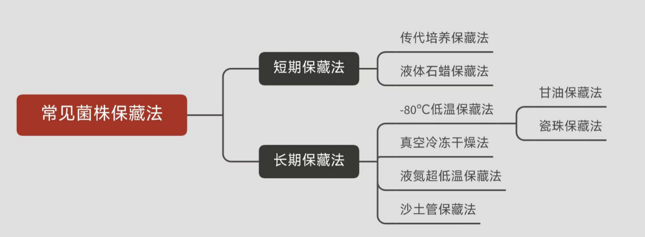 常見(jiàn)菌株保藏法的優(yōu)缺點(diǎn)對(duì)比