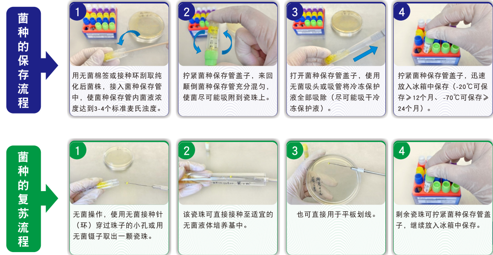 常見(jiàn)菌株保藏法的優(yōu)缺點(diǎn)對(duì)比
